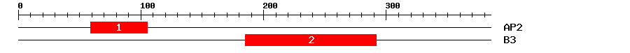 Signature Domain