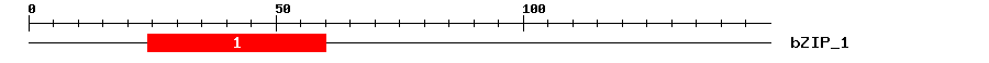 Signature Domain