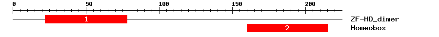 Signature Domain