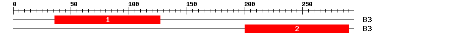 Signature Domain
