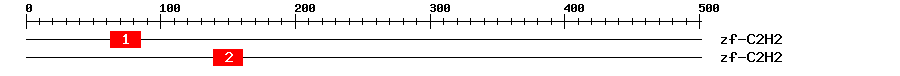Signature Domain