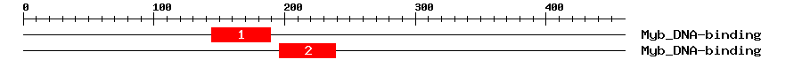 Signature Domain