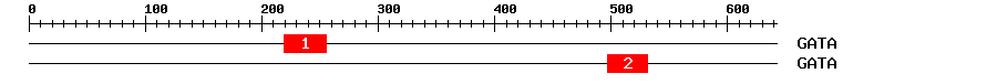 Signature Domain