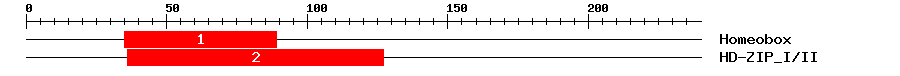 Signature Domain