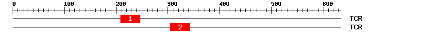 Signature Domain
