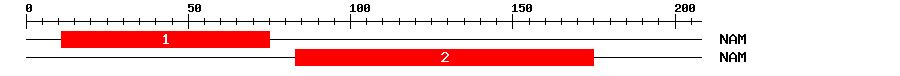 Signature Domain