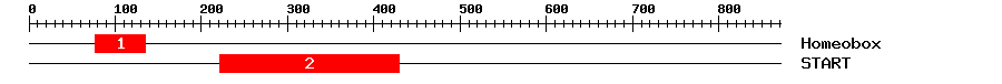 Signature Domain