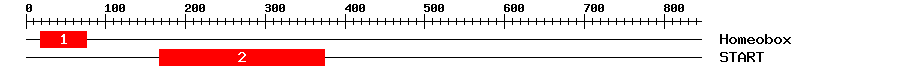 Signature Domain