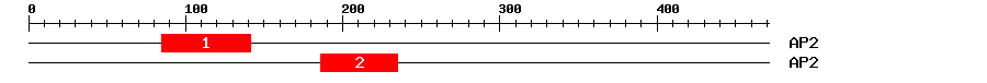Signature Domain