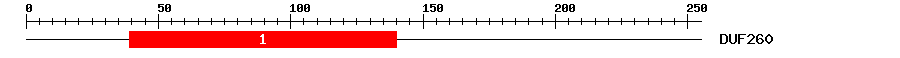 Signature Domain