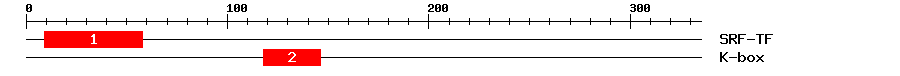 Signature Domain