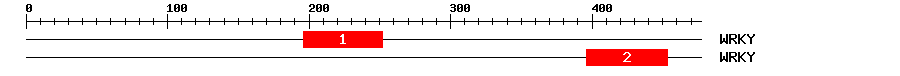 Signature Domain