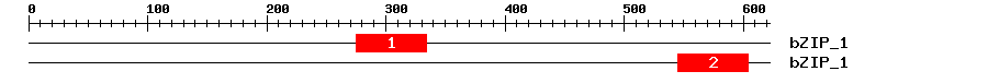 Signature Domain