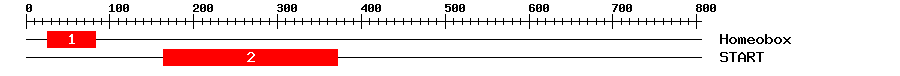 Signature Domain