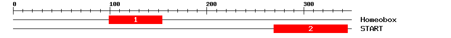Signature Domain
