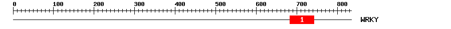 Signature Domain