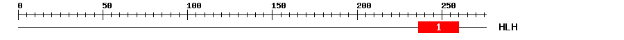 Signature Domain