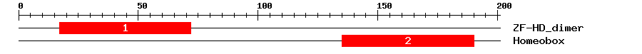 Signature Domain