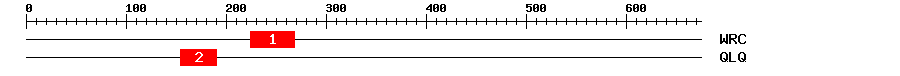 Signature Domain