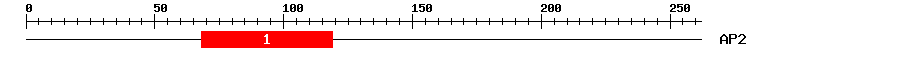 Signature Domain