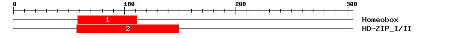 Signature Domain