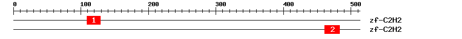 Signature Domain