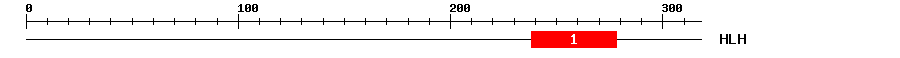 Signature Domain