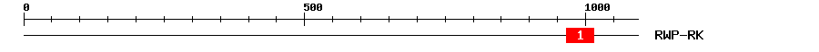 Signature Domain