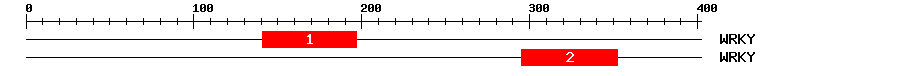 Signature Domain