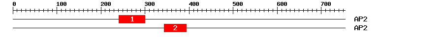 Signature Domain