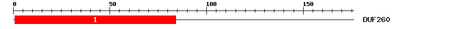 Signature Domain