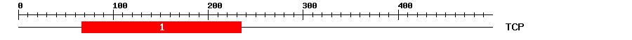 Signature Domain