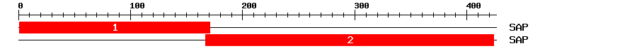 Signature Domain