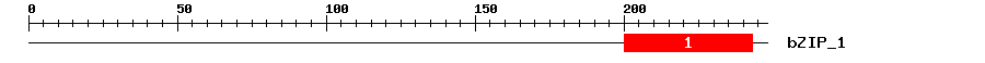 Signature Domain