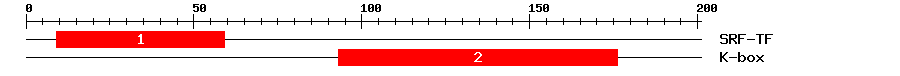 Signature Domain