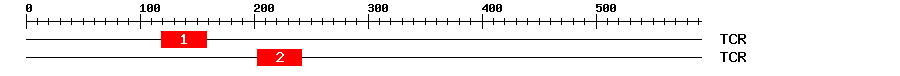 Signature Domain