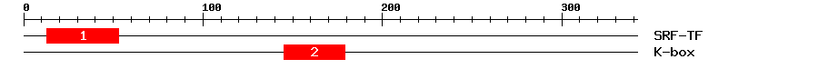 Signature Domain
