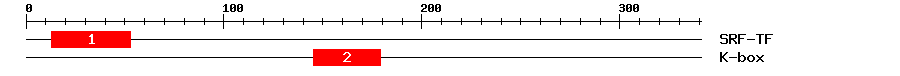 Signature Domain