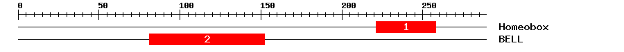 Signature Domain
