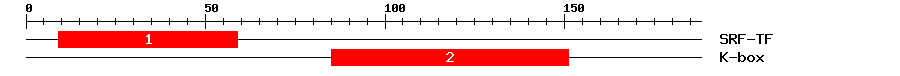 Signature Domain