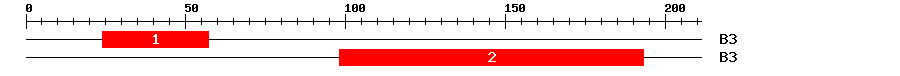 Signature Domain