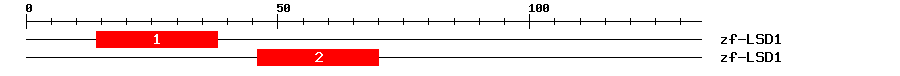 Signature Domain
