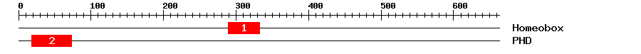 Signature Domain