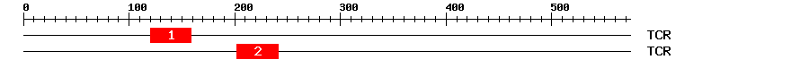 Signature Domain