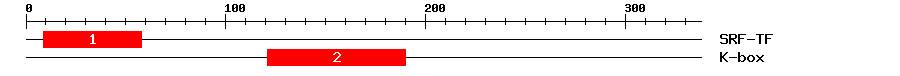 Signature Domain