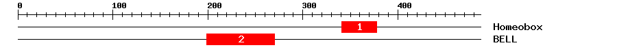 Signature Domain