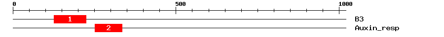 Signature Domain