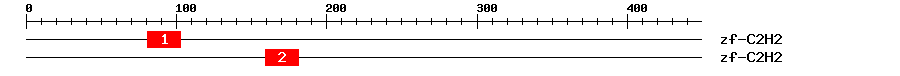 Signature Domain