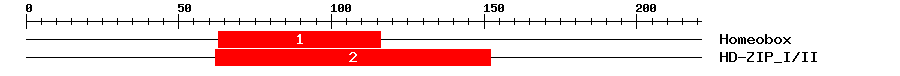 Signature Domain