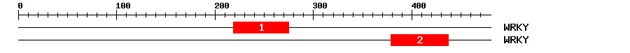 Signature Domain